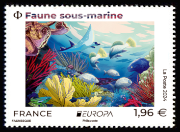  Faune sous-marine 