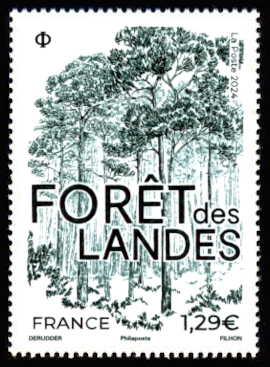 Forêt