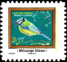  Mélodie d'oiseaux 